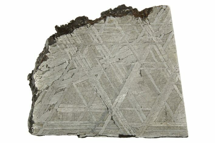 Etched Muonionalusta Meteorite Slice ( g) - Sweden #320322
